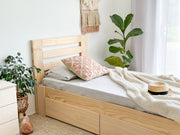 Solid bed PINE